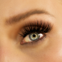 Load image into Gallery viewer, Drive By