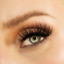 Load image into Gallery viewer, THE ULTIMATE BUNDLE