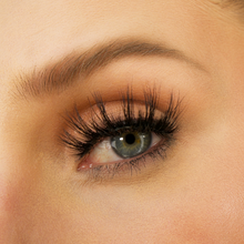 Load image into Gallery viewer, THE ULTIMATE BUNDLE