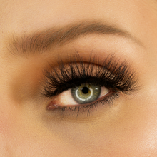 Load image into Gallery viewer, Lucky 13