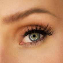 Load image into Gallery viewer, Natch