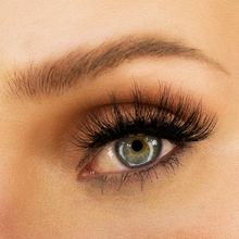 Load image into Gallery viewer, THE ULTIMATE BUNDLE