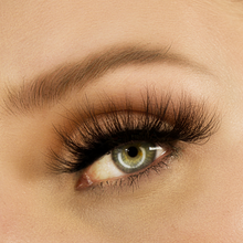 Load image into Gallery viewer, THE ULTIMATE BUNDLE